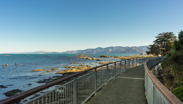 Kaikoura Peninsula Walkway