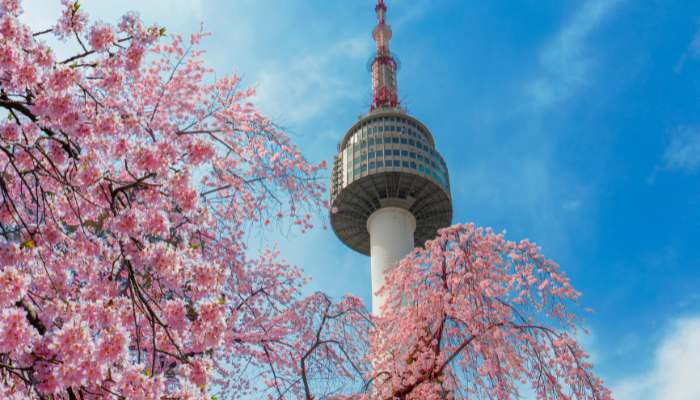 N Seoul Tower