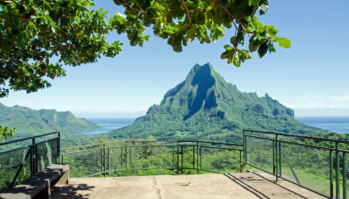 Belvedere Lookout