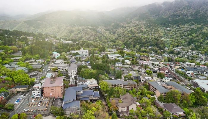 Gora Hanaougi, Hakone