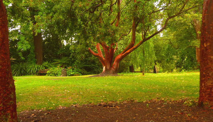 Christchurch Botanic Gardens