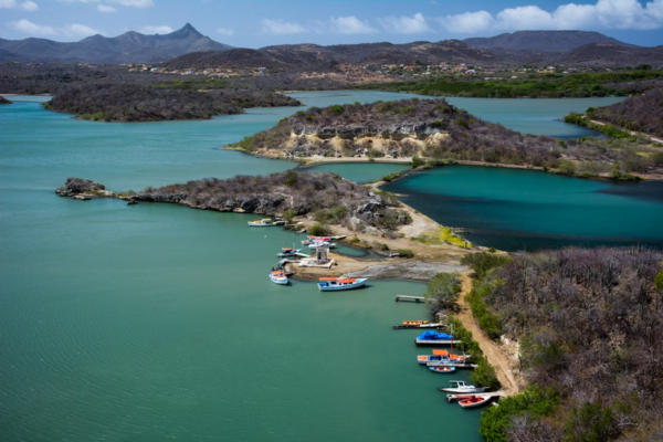 Tropical Adventures – Island Safari